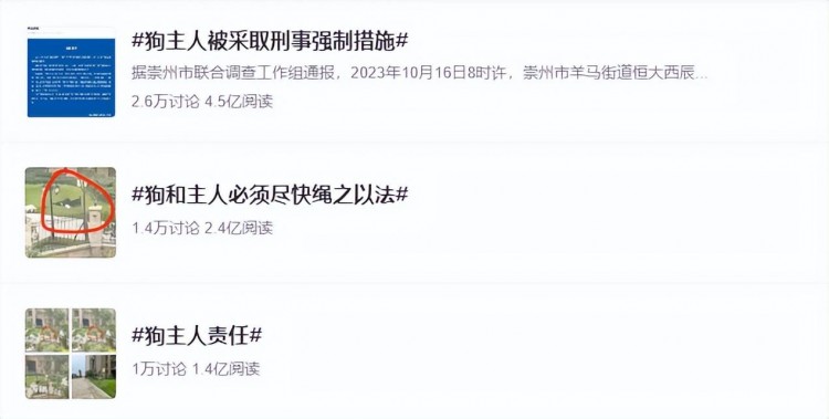 这些狗深圳禁养！如何做一名合格“铲屎官”？